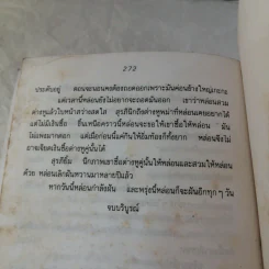 แฝดพี่ฝาดน้อง - โบ๋ตั๋น รูปที่ 10