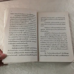 จากผาธุลีดิน - โบตั๋น รูปที่ 10