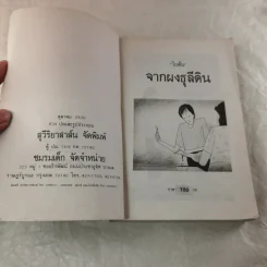 จากผาธุลีดิน - โบตั๋น รูปที่ 6