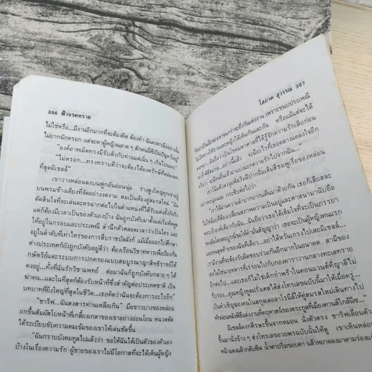 ฟ้าจรดทราย 2 เล่มจบ - โสภาค สุวรรณ รูปที่ 13