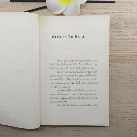 วินน์-ดิ๊กซี่ สุนัขร้านชำ ทำเหตุ - เคท ดิคามิลโล รูปที่ 9