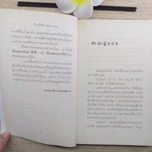 วินน์-ดิ๊กซี่ สุนัขร้านชำ ทำเหตุ - เคท ดิคามิลโล รูปที่ 10