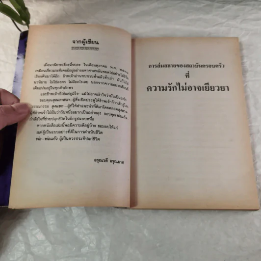 การล่มสลายของสถาบันครอบครัวที่ความรักไม่อาจเยียวยา - อรุณวดี อรุณมาศ รูปที่ 7