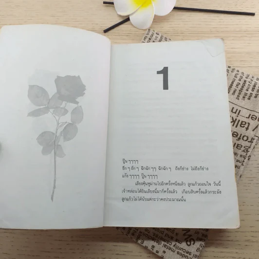 จันทร์ข้างแรม - โบตั๋น รูปที่ 10