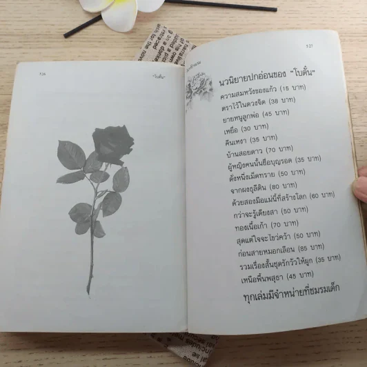จันทร์ข้างแรม - โบตั๋น รูปที่ 11