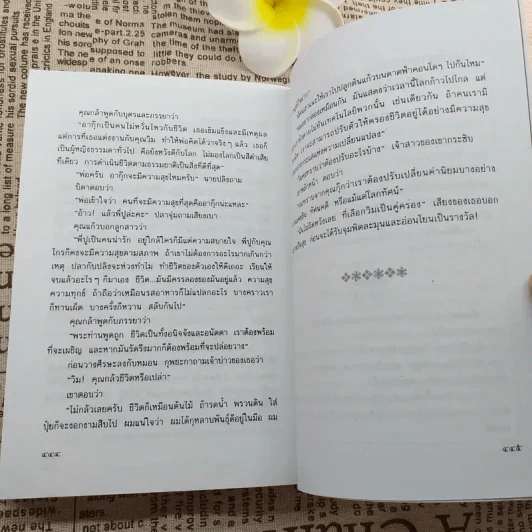 ดอกแก้วไกลสวน - เพ็ญแข วงศ์สง่า รูปที่ 13