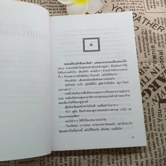 ดอกแก้วไกลสวน - เพ็ญแข วงศ์สง่า รูปที่ 12