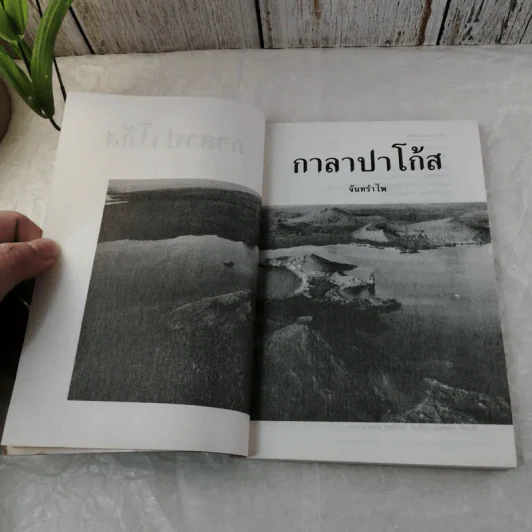 กาลาปาโก้ส - จันทรำไพ รูปที่ 4