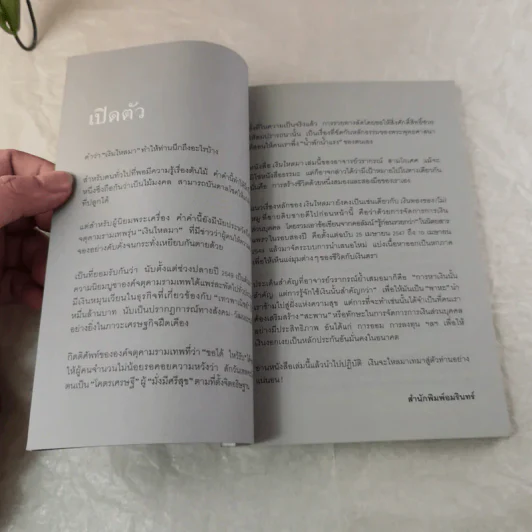 เงินไหลมา - วรากรณ์ สามโกเศศ รูปที่ 8