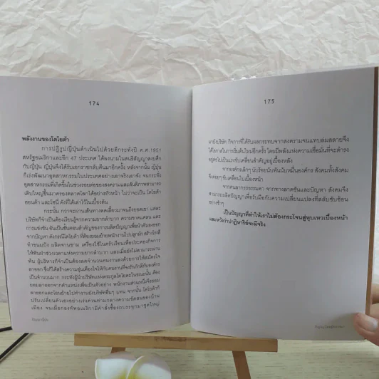 ปัญญาญี่ปุ่น - ภิญโญ ไตรสุริยธรรมา รูปที่ 13