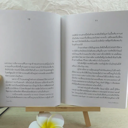 ปัญญาญี่ปุ่น - ภิญโญ ไตรสุริยธรรมา รูปที่ 11