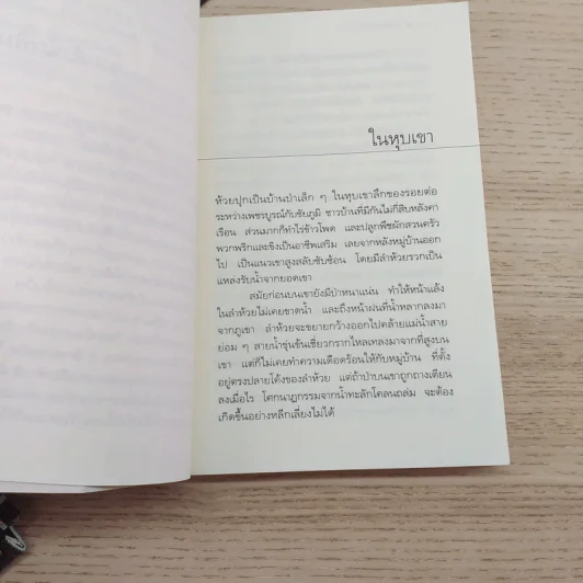 หากินกลางป่า - วัธนา บุญยัง รูปที่ 5