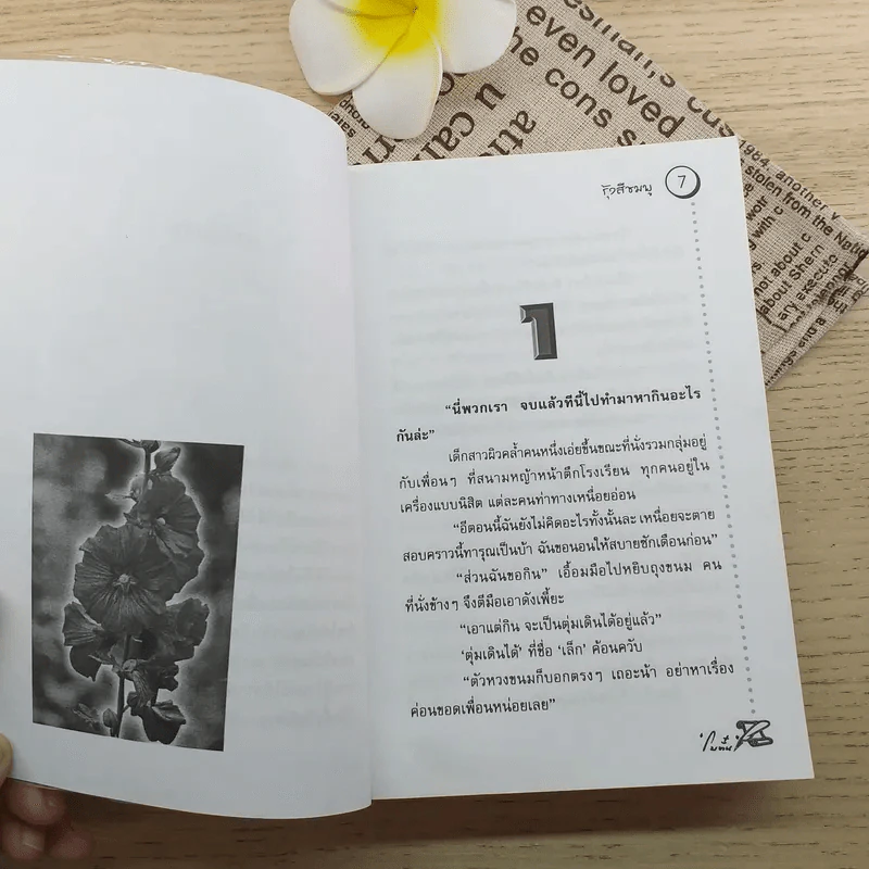 รุ้งสีชมพู - โบตั๋น รูปที่ 9