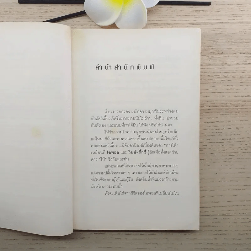 วินน์-ดิ๊กซี่ สุนัขร้านชำ ทำเหตุ - เคท ดิคามิลโล รูปที่ 9