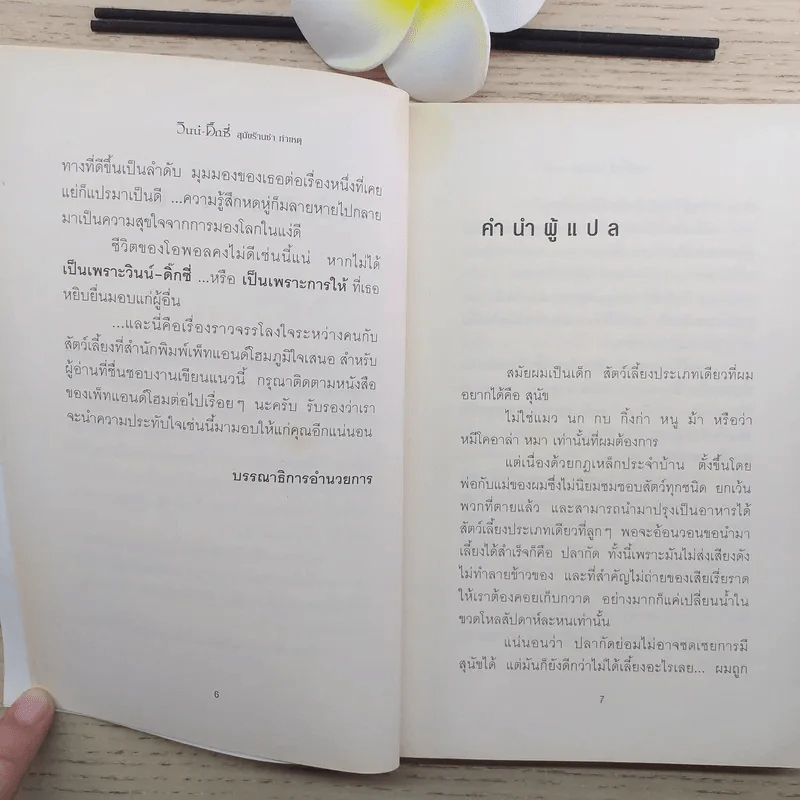 วินน์-ดิ๊กซี่ สุนัขร้านชำ ทำเหตุ - เคท ดิคามิลโล รูปที่ 10