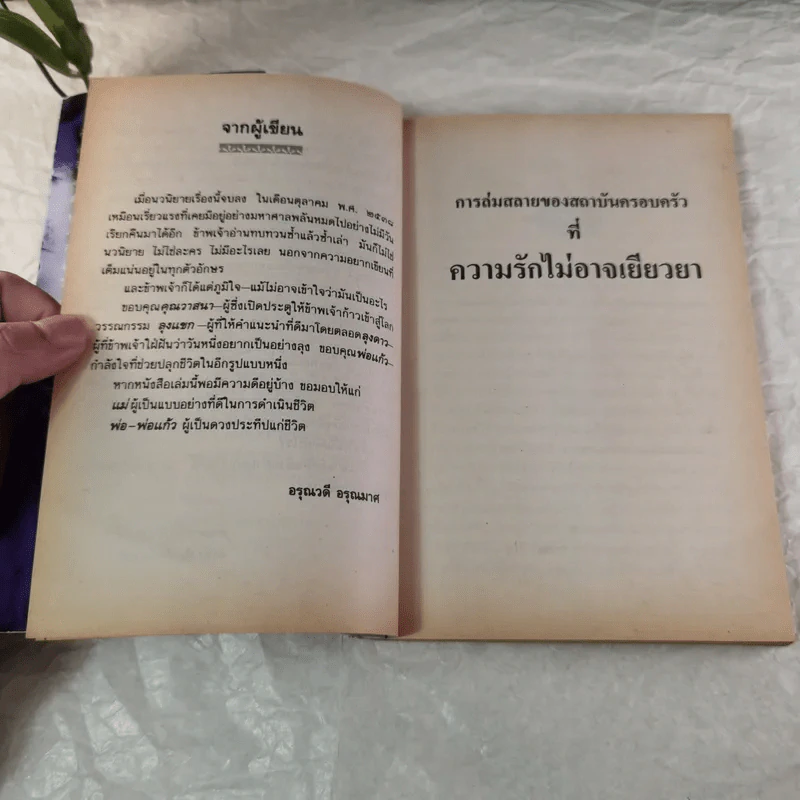 การล่มสลายของสถาบันครอบครัวที่ความรักไม่อาจเยียวยา - อรุณวดี อรุณมาศ รูปที่ 7