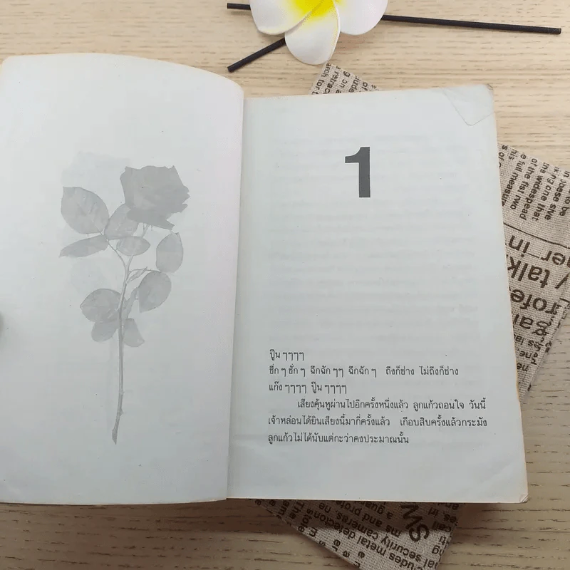 จันทร์ข้างแรม - โบตั๋น รูปที่ 10