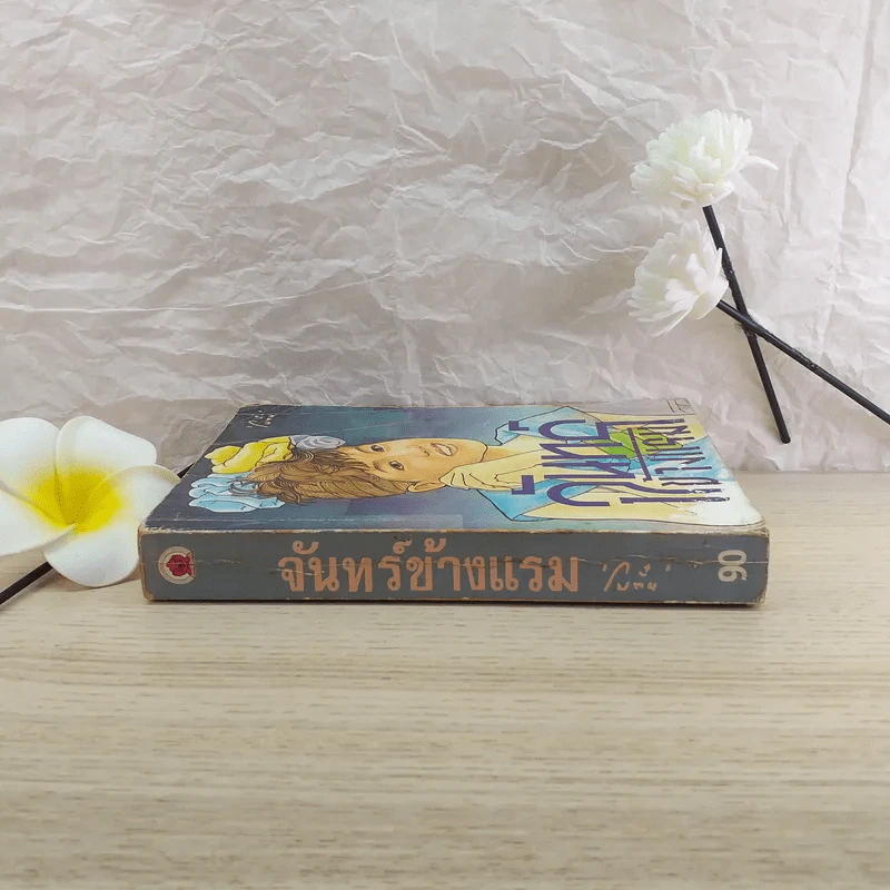 จันทร์ข้างแรม - โบตั๋น รูปที่ 3
