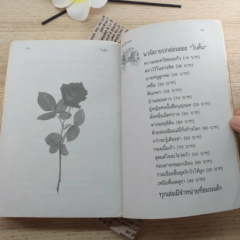 จันทร์ข้างแรม - โบตั๋น รูปที่ 11