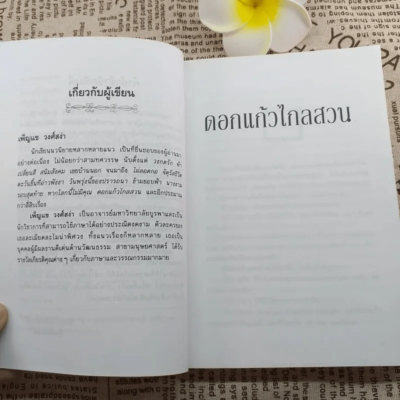 ดอกแก้วไกลสวน - เพ็ญแข วงศ์สง่า รูปที่ 11
