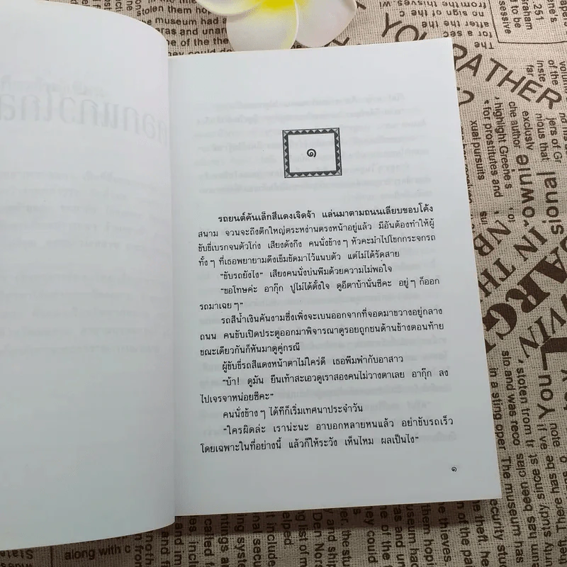 ดอกแก้วไกลสวน - เพ็ญแข วงศ์สง่า รูปที่ 12