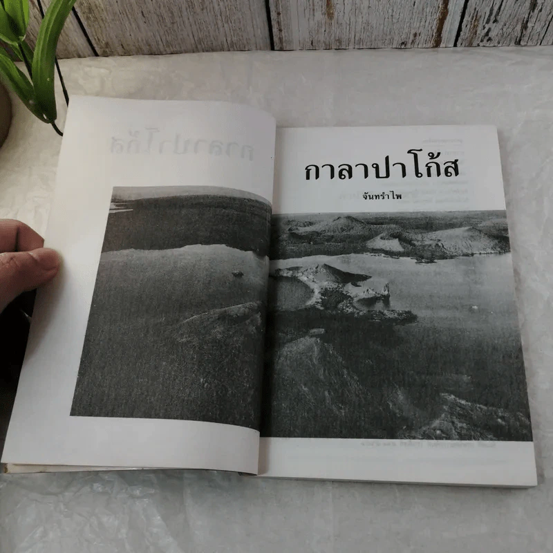 กาลาปาโก้ส - จันทรำไพ รูปที่ 4