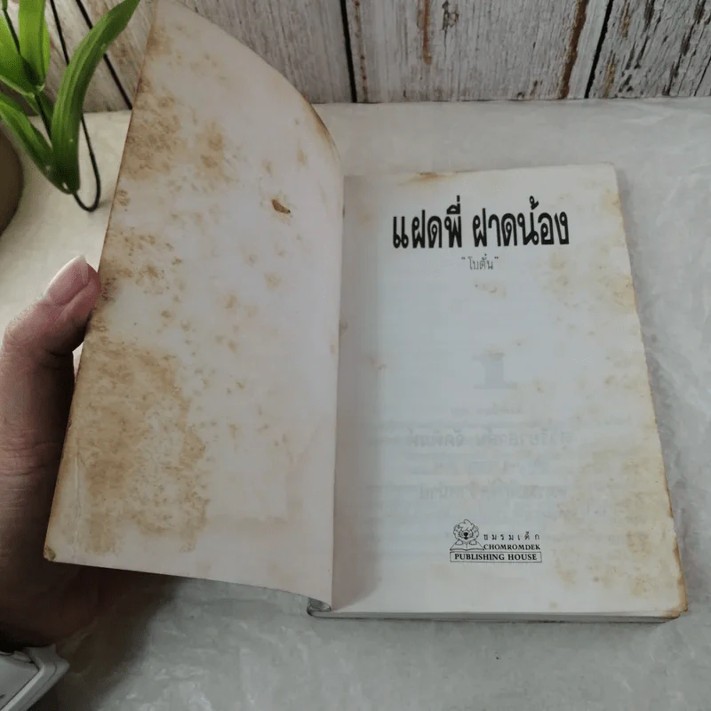 แฝดพี่ฝาดน้อง - โบ๋ตั๋น รูปที่ 6