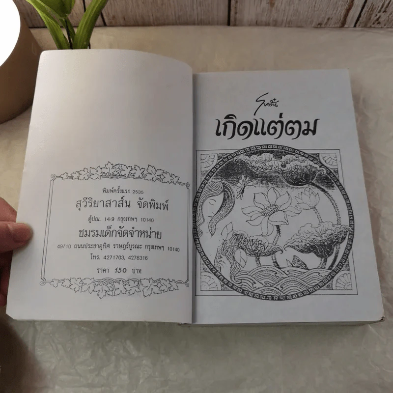 เกิดแต่ตม - โบตั๋น รูปที่ 6