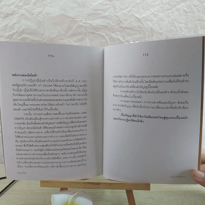 ปัญญาญี่ปุ่น - ภิญโญ ไตรสุริยธรรมา รูปที่ 13