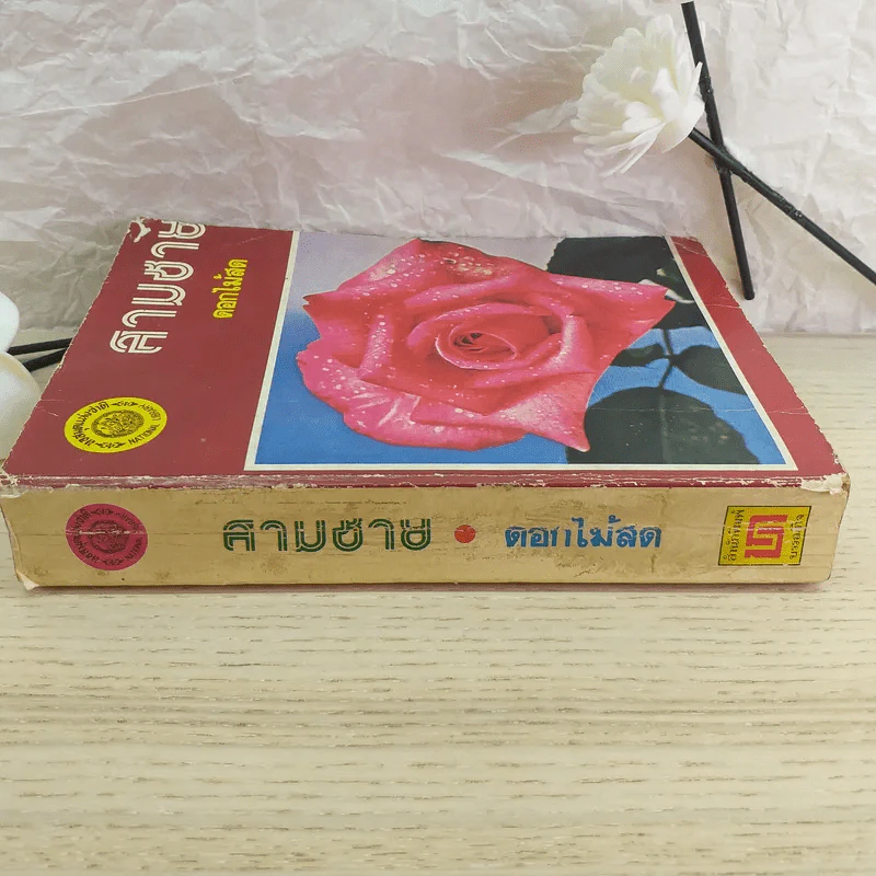 สามชาย - ดอกไม้สด รูปที่ 3