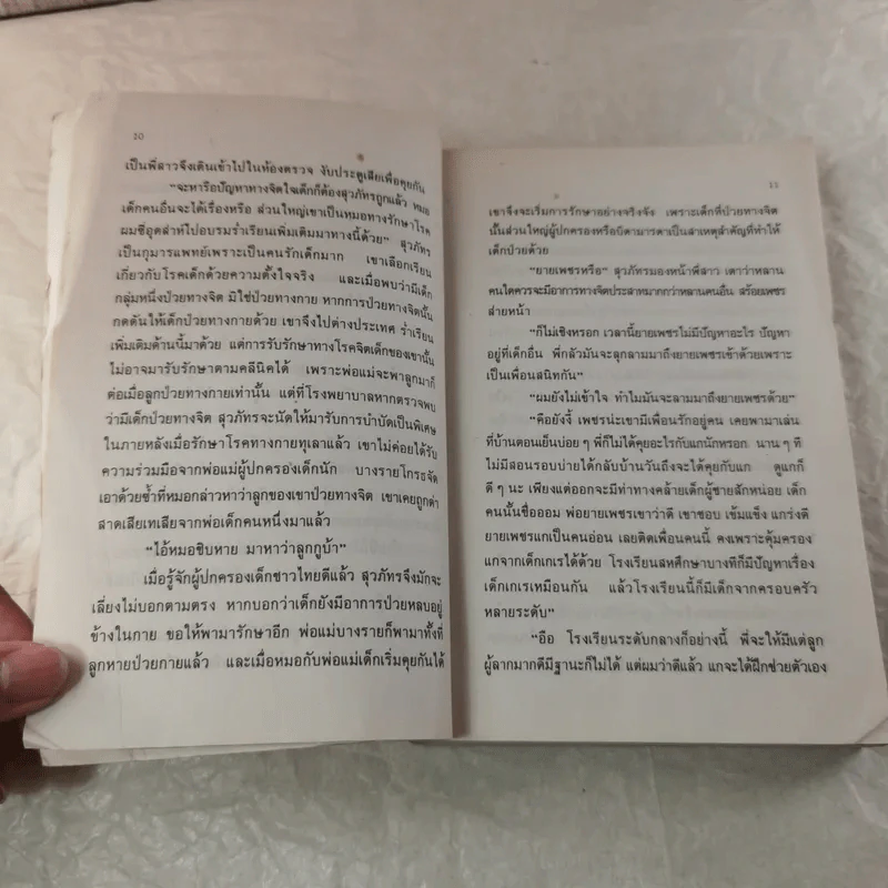 จากผาธุลีดิน - โบตั๋น รูปที่ 10