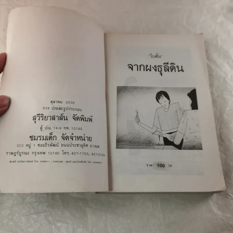 จากผาธุลีดิน - โบตั๋น รูปที่ 6