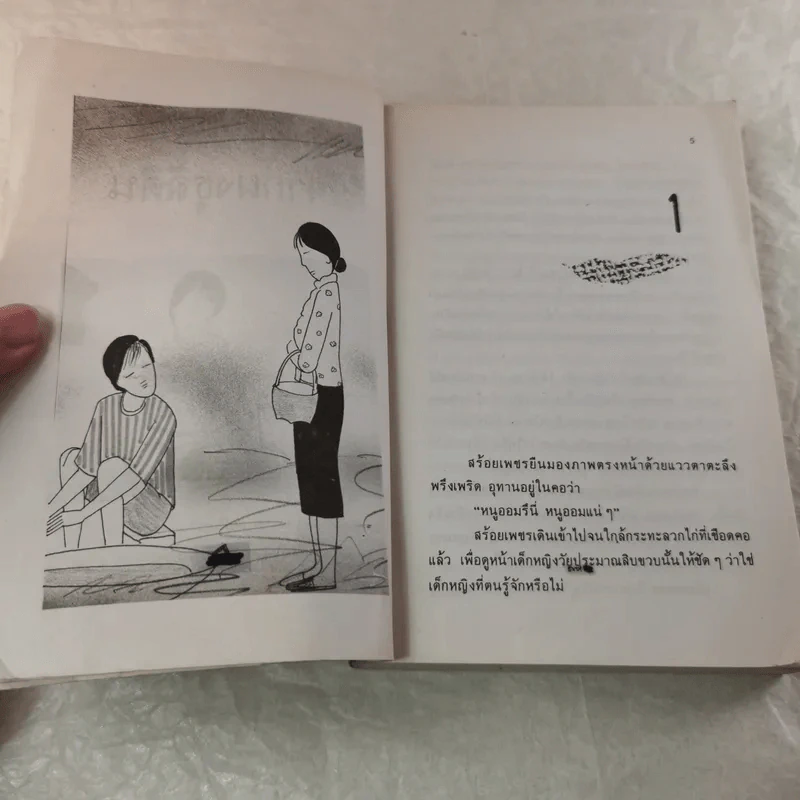 จากผาธุลีดิน - โบตั๋น รูปที่ 7