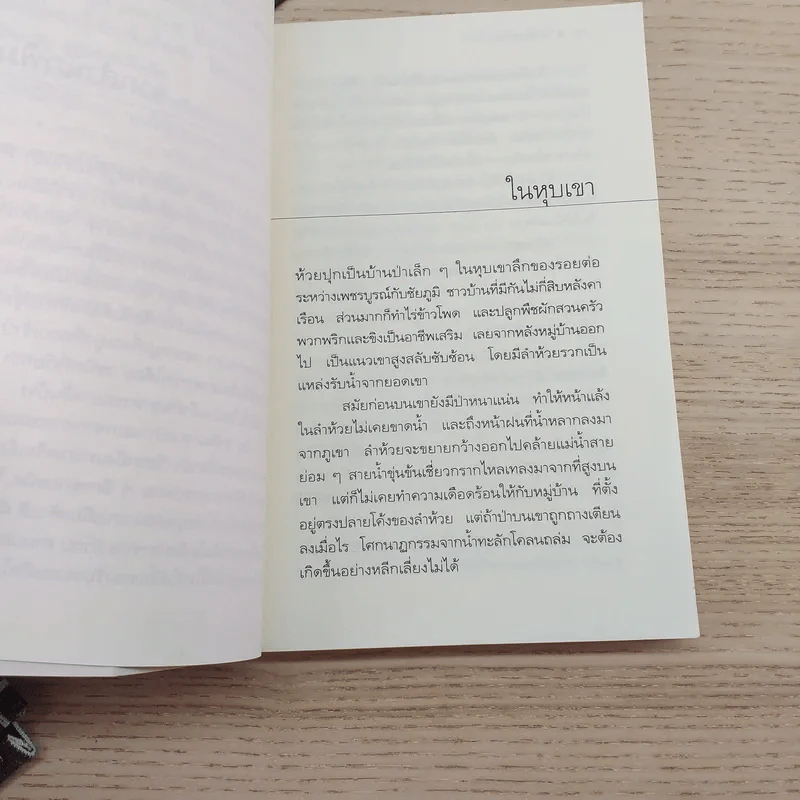 หากินกลางป่า - วัธนา บุญยัง รูปที่ 5