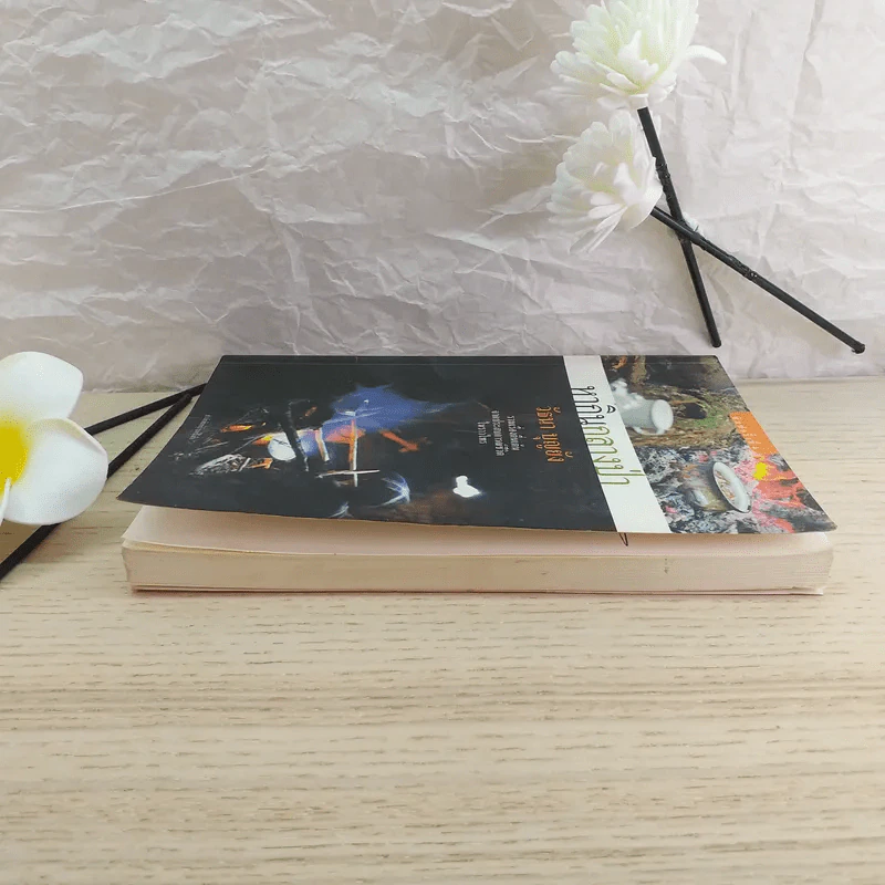 หากินกลางป่า - วัธนา บุญยัง รูปที่ 8