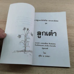 ลูกเต๋า งานอันดับ 4 ของกลุ่มกลางหลัก - สุชีพ ณ สงขลา รูปที่ 9