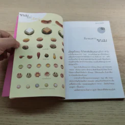 ขนมแม่เอ๊ย - ส.พลายน้อย รูปที่ 12