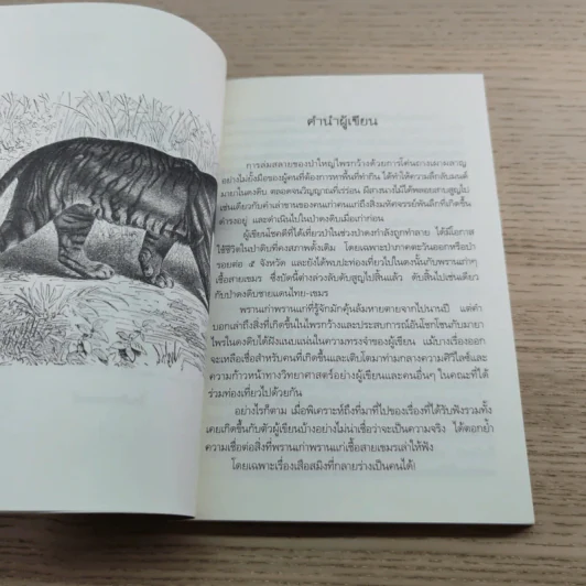 สางสองวิญญาณ - เปลว ปัทมา รูปที่ 6