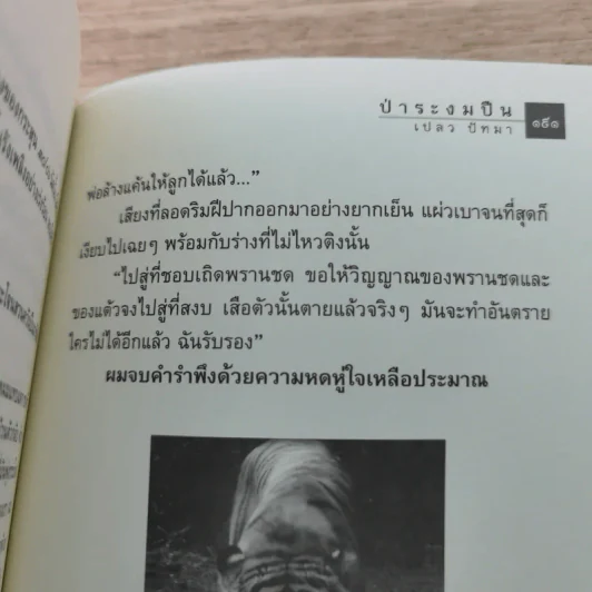 ป่าระงมปืน เรื่องราวการใช้ชีวิตและเอาตัวรอดในป่าดิบดงลึก - เปลว ปัทมา รูปที่ 13