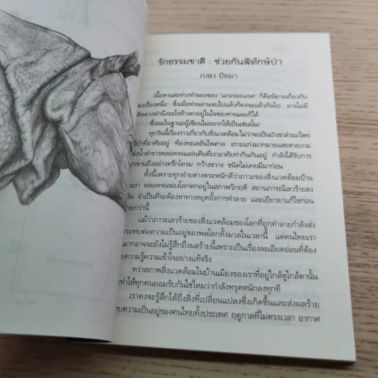 แกะรอยแรด - เปลว ปัทมา รูปที่ 7