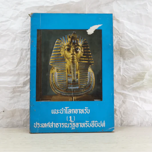 แนะนำโลกอาหรับ 1 ประเทศสาธารณรัฐอาหรับอียิปต์ รูปที่ 1