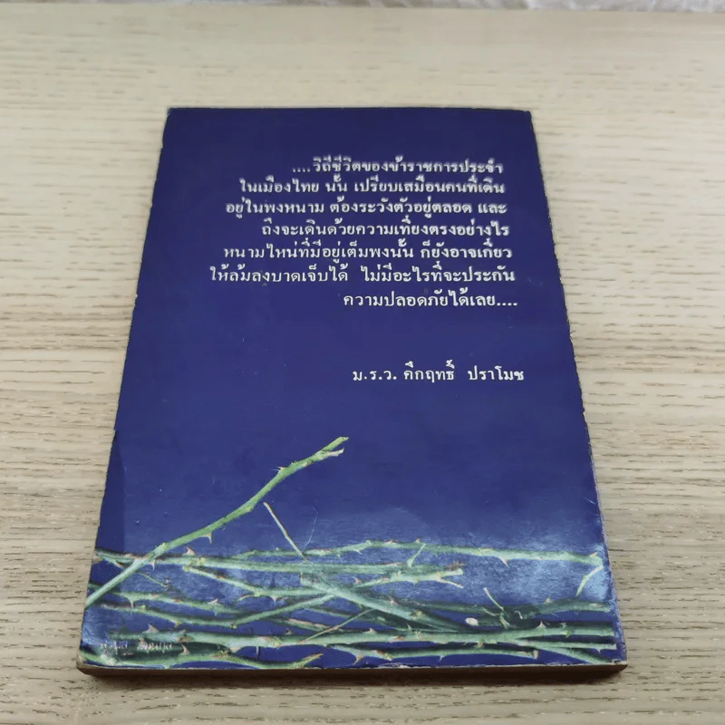 พ้น พงหนาม - อำนวย วีรวรรณ รูปที่ 8