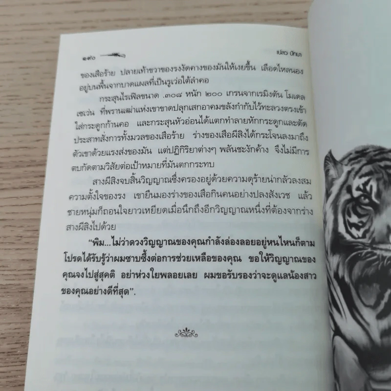 สางสองวิญญาณ - เปลว ปัทมา รูปที่ 11