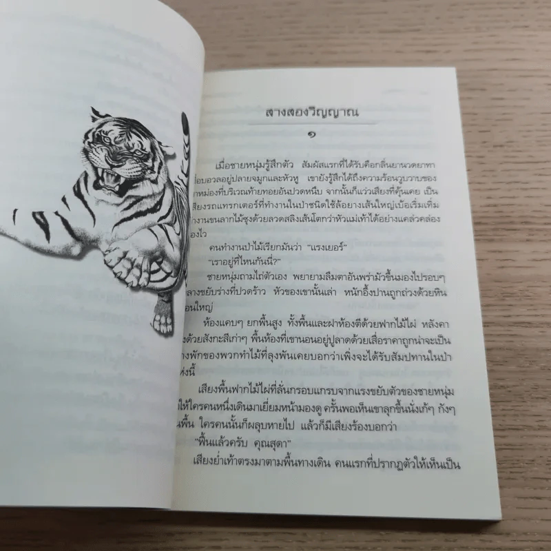 สางสองวิญญาณ - เปลว ปัทมา รูปที่ 10