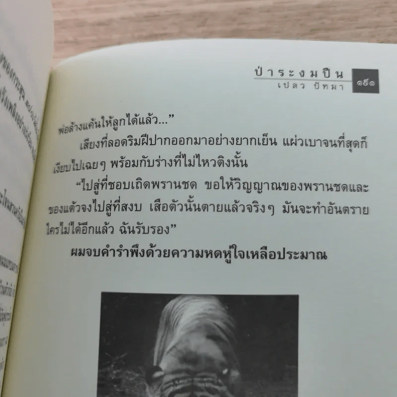 ป่าระงมปืน เรื่องราวการใช้ชีวิตและเอาตัวรอดในป่าดิบดงลึก - เปลว ปัทมา รูปที่ 13