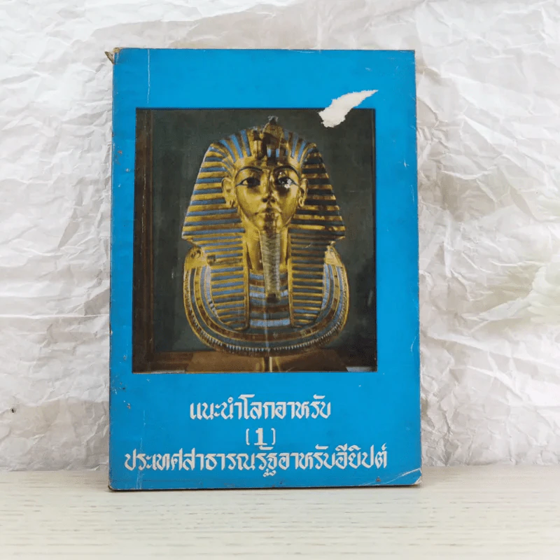แนะนำโลกอาหรับ 1 ประเทศสาธารณรัฐอาหรับอียิปต์ รูปที่ 1