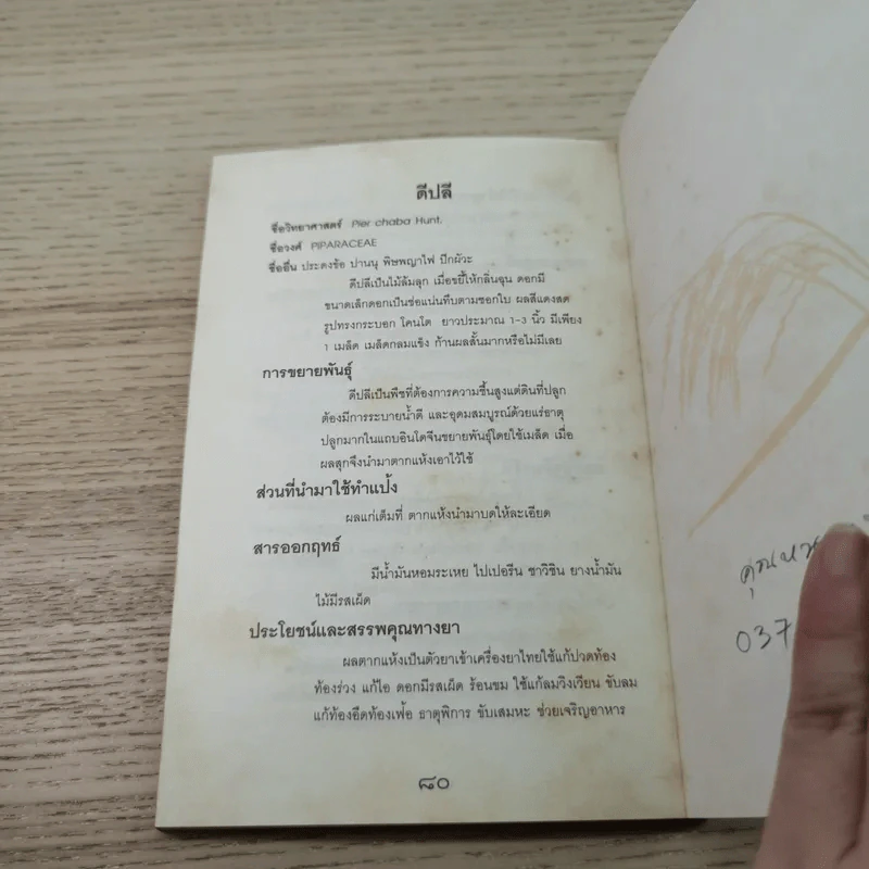 ข้าว ความลับของสุขภาพและความงาม - ภญ.ดร.สุภาภรณ์ ปิติพร รูปที่ 8