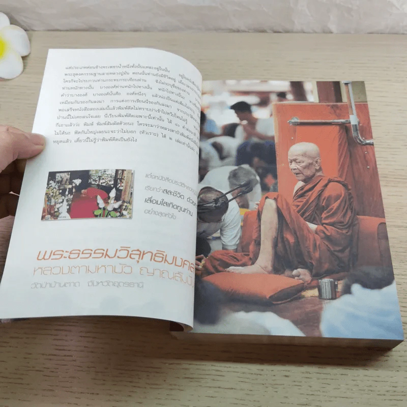 ประวัติท่านพระอาจารย์มั่น ภูริทัตตเถระ - พระธรรมวิสุทธิมงคล รูปที่ 6