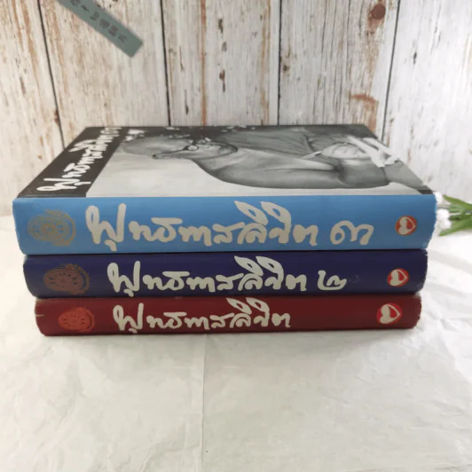 พุทธทาสลิขิต ฉบับลายมือของพุทธทาสภิกขุ เล่ม 1-3 รูปที่ 2