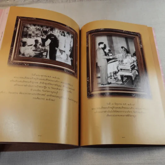คู่ฟ้าสองพระบารมี รูปที่ 14